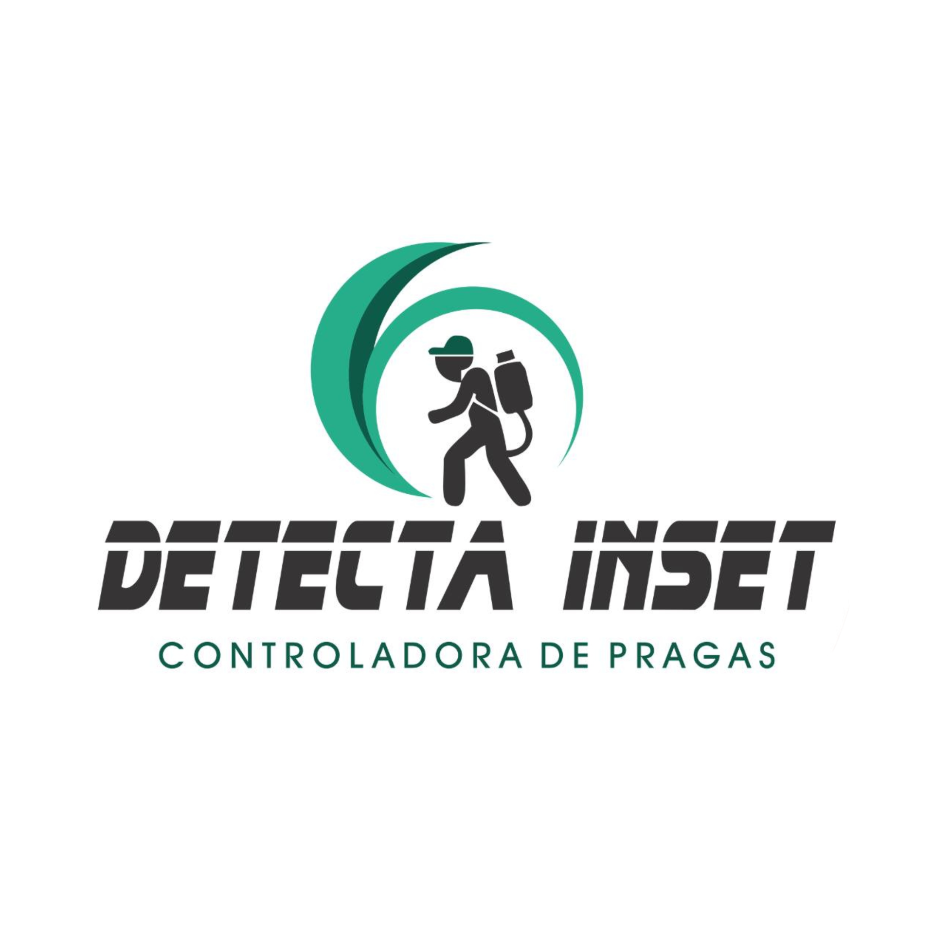 Detecta Inset Logo